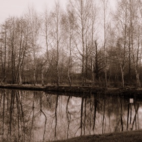 Niedzielny spacer cd