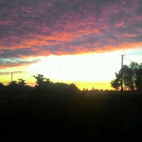 14012163_1192051587511724_1652...