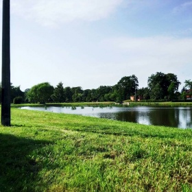 20840646_687810051404089_25248...