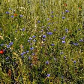 Cykl w - wypad za miasto