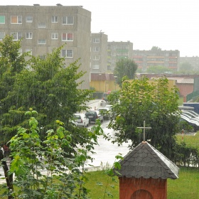 Cykl widziane z okna - letnia...