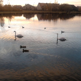Gdzie się podziało brzydkie ka...