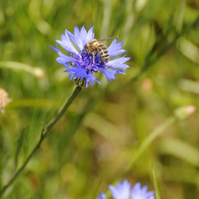 Cykl -wypad za miasto