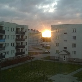 WP_20151114_07_24_48_Pro