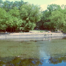 Turek Park