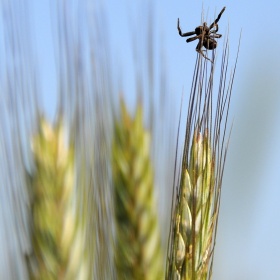 Cykl - wypad za miasto