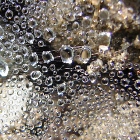 Kropy, krople i kropelki IV