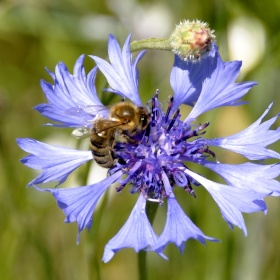 Cykl - wypad za miasto