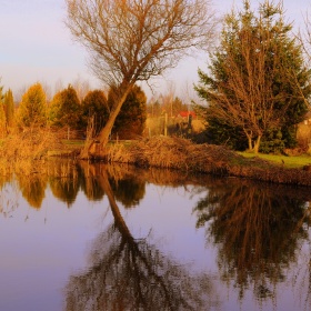 Niedzielny spacer cd