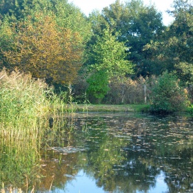 5. idzie jesień w ROD Malinka