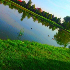 20881994_687809558070805_28236...