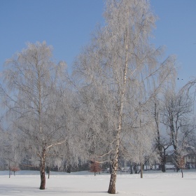 Mrozem malowane VIII