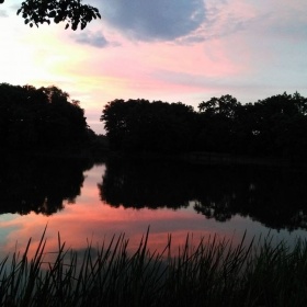 20030650_1398178370237018_1960...