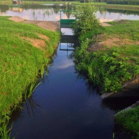 20799311_687809621404132_22719...