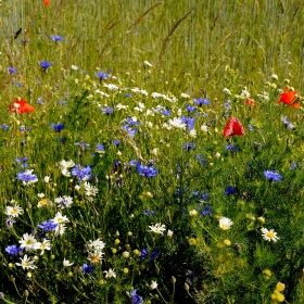 Cykl - wypad za miasto