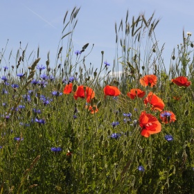 Cykl - wypad za miasto