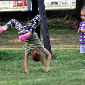 14068111_1427415017274241_4069...